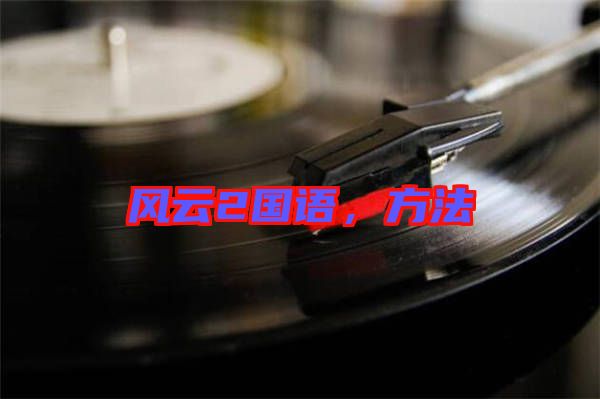 風(fēng)云2國語，方法