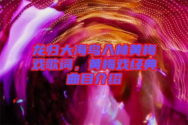 龍歸大海鳥入林黃梅戲歌詞，黃梅戲經(jīng)典曲目介紹