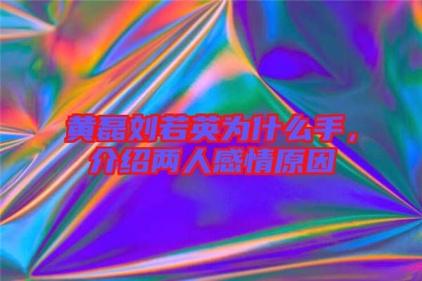 黃磊劉若英為什么手，介紹兩人感情原因