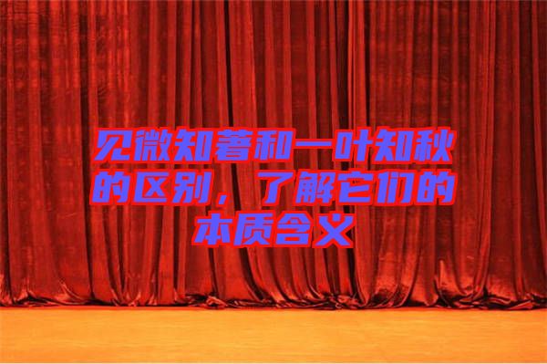 見(jiàn)微知著和一葉知秋的區(qū)別，了解它們的本質(zhì)含義