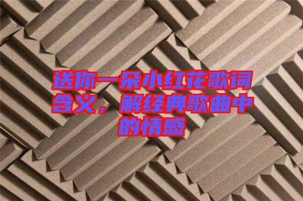 送你一朵小紅花歌詞含義，解經(jīng)典歌曲中的情感