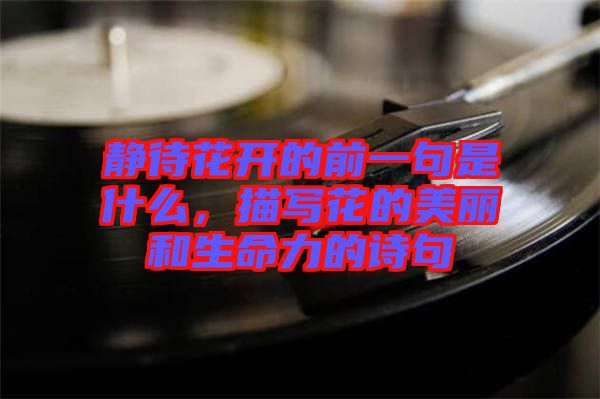 靜待花開的前一句是什么，描寫花的美麗和生命力的詩句