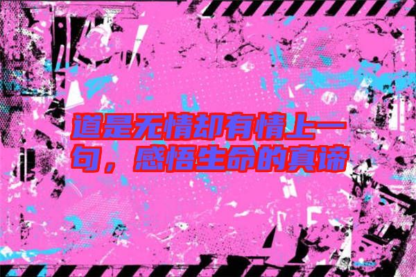 道是無情卻有情上一句，感悟生命的真諦