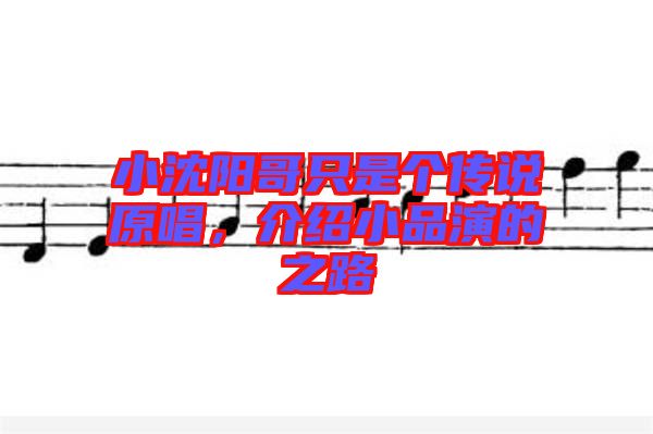 小沈陽哥只是個(gè)傳說原唱，介紹小品演的之路