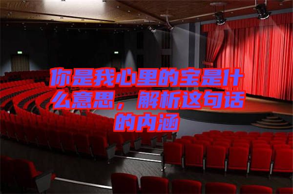 你是我心里的寶是什么意思，解析這句話的內(nèi)涵