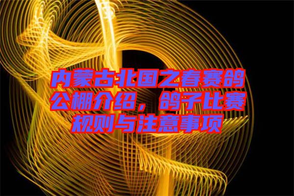 內(nèi)蒙古北國之春賽鴿公棚介紹，鴿子比賽規(guī)則與注意事項(xiàng)
