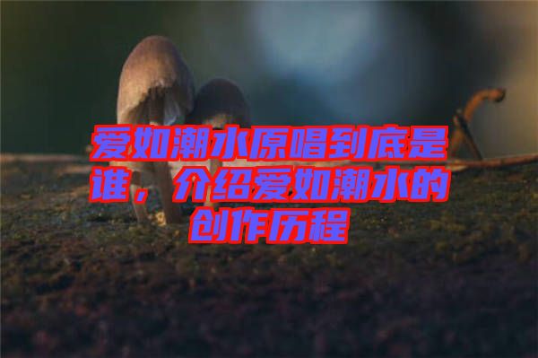 愛(ài)如潮水原唱到底是誰(shuí)，介紹愛(ài)如潮水的創(chuàng)作歷程