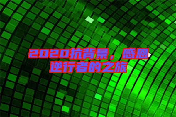 2020抗背景，感恩逆行者的之旅