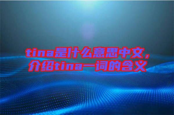 tina是什么意思中文，介紹tina一詞的含義