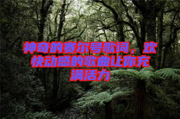 神奇的賽爾號歌詞，歡快動感的歌曲讓你充滿活力