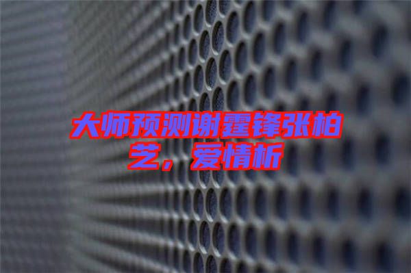 大師預測謝霆鋒張柏芝，愛情析