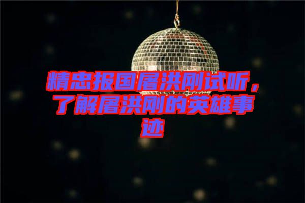 精忠報國屠洪剛試聽，了解屠洪剛的英雄事跡