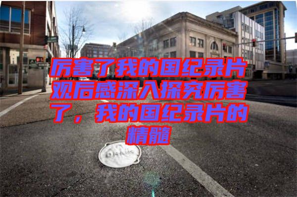 厲害了我的國紀錄片觀后感深入探究厲害了，我的國紀錄片的精髓