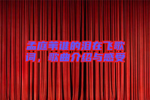 孟庭葦誰的淚在飛歌詞，歌曲介紹與感受