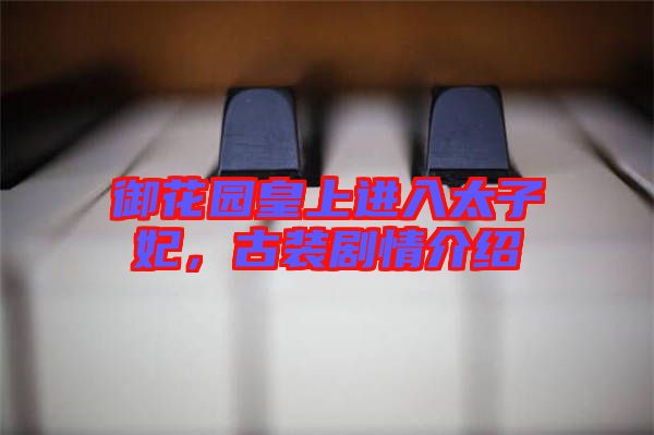 御花園皇上進入太子妃，古裝劇情介紹
