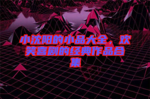 小沈陽的小品大全，歡笑喜劇的經(jīng)典作品合集