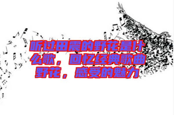 聽過田震的野花是什么歌，回憶經(jīng)典歌曲野花，感受的魅力