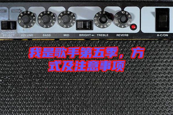 我是歌手第五季，方式及注意事項(xiàng)