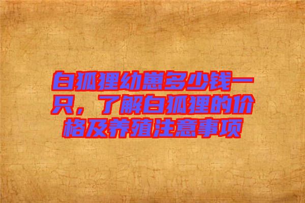 白狐貍幼崽多少錢一只，了解白狐貍的價格及養(yǎng)殖注意事項
