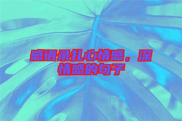 感語(yǔ)錄扎心情感，深情感的句子