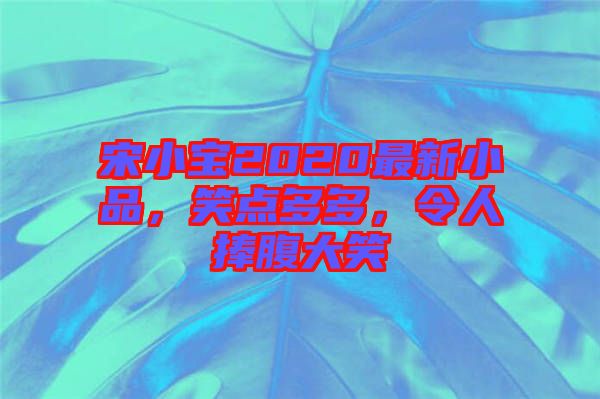 宋小寶2020最新小品，笑點多多，令人捧腹大笑