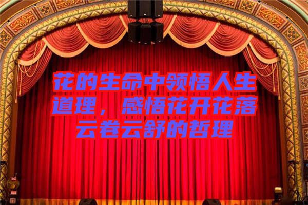 花的生命中領(lǐng)悟人生道理，感悟花開花落云卷云舒的哲理