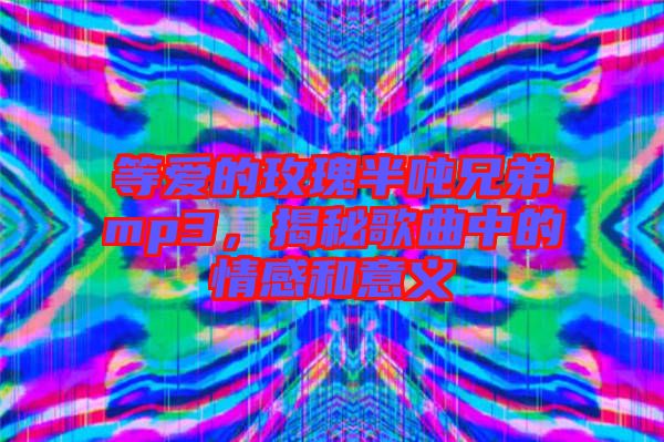 等愛的玫瑰半噸兄弟mp3，揭秘歌曲中的情感和意義