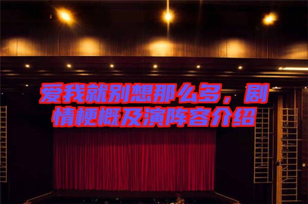 愛我就別想那么多，劇情梗概及演陣容介紹