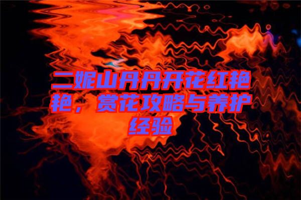 二妮山丹丹開花紅艷艷，賞花攻略與養(yǎng)護經(jīng)驗