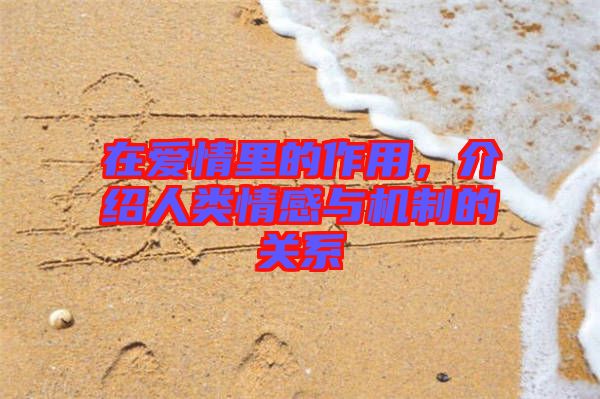 在愛情里的作用，介紹人類情感與機(jī)制的關(guān)系
