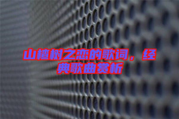 山楂樹之戀的歌詞，經(jīng)典歌曲賞析
