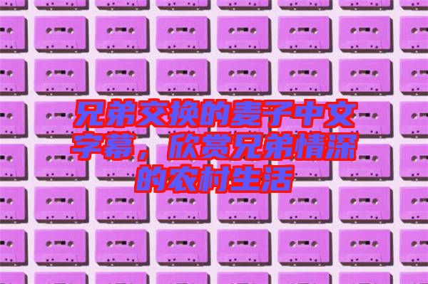 兄弟交換的麥子中文字幕，欣賞兄弟情深的農(nóng)村生活
