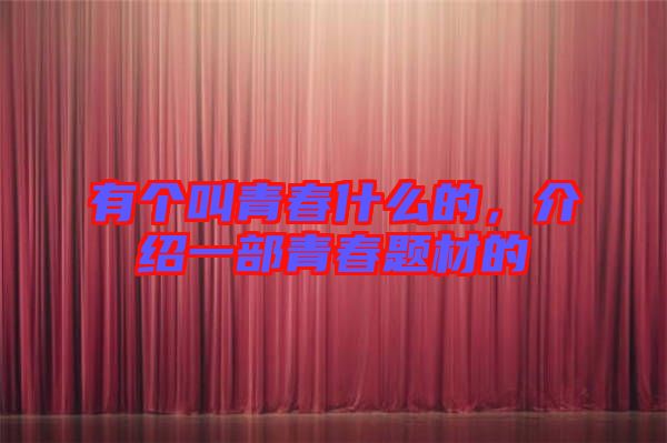有個(gè)叫青春什么的，介紹一部青春題材的