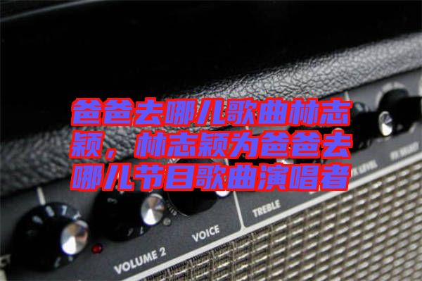 爸爸去哪兒歌曲林志穎，林志穎為爸爸去哪兒節(jié)目歌曲演唱者