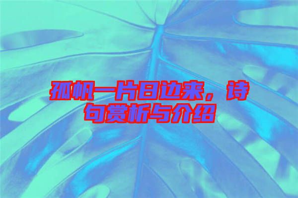 孤帆一片日邊來，詩句賞析與介紹