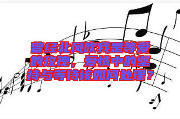 曾經(jīng)北風(fēng)吹我是等愛的玫瑰，愛情中的堅(jiān)持與等待該如何處理？