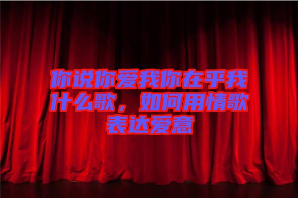 你說你愛我你在乎我什么歌，如何用情歌表達(dá)愛意