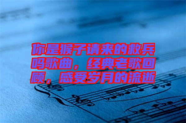 你是猴子請來的救兵嗎歌曲，經典老歌回顧，感受歲月的流逝