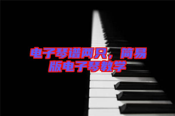 電子琴譜兩只，簡易版電子琴教學(xué)