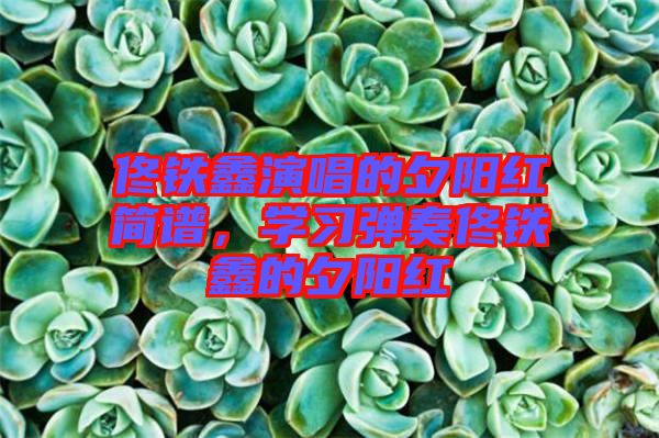 佟鐵鑫演唱的夕陽(yáng)紅簡(jiǎn)譜，學(xué)習(xí)彈奏佟鐵鑫的夕陽(yáng)紅