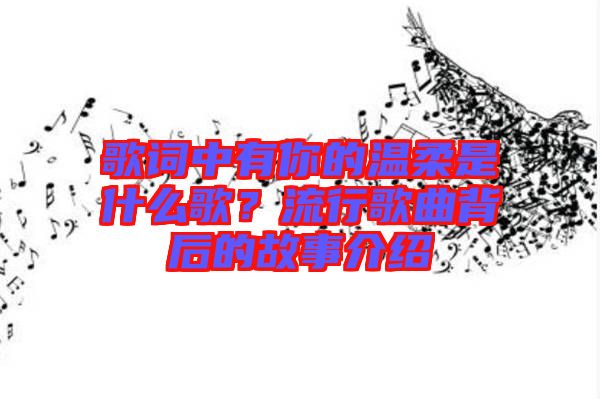 歌詞中有你的溫柔是什么歌？流行歌曲背后的故事介紹