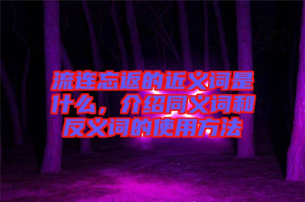 流連忘返的近義詞是什么，介紹同義詞和反義詞的使用方法
