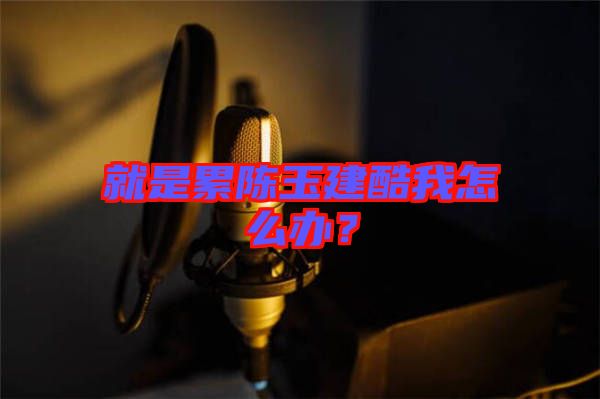 就是累陳玉建酷我怎么辦？