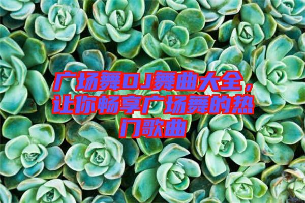 廣場舞DJ舞曲大全，讓你暢享廣場舞的熱門歌曲