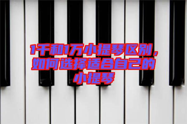 1千和1萬(wàn)小提琴區(qū)別，如何選擇適合自己的小提琴