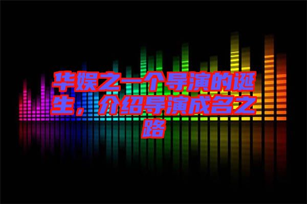華娛之一個導(dǎo)演的誕生，介紹導(dǎo)演成名之路