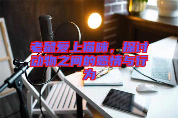 老鼠愛上貓咪，探討動物之間的感情與行為