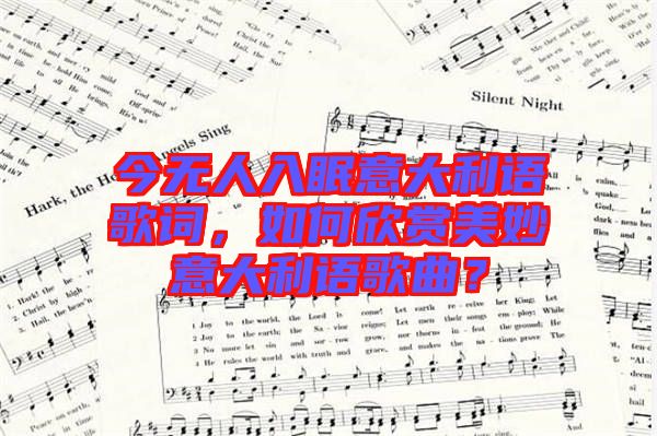 今無人入眠意大利語歌詞，如何欣賞美妙意大利語歌曲？