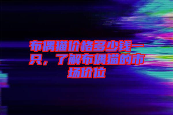 布偶貓價格多少錢一只，了解布偶貓的市場價位