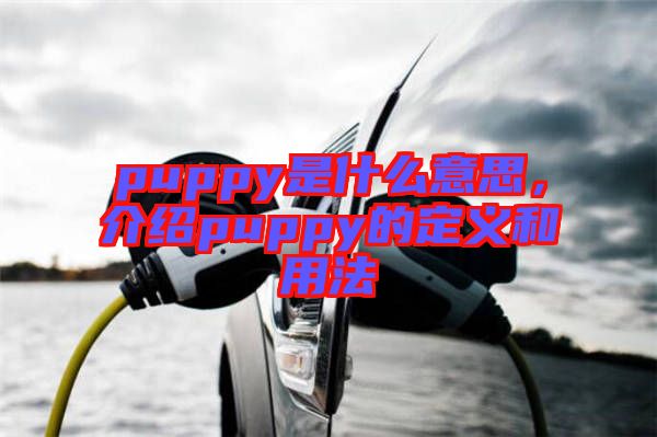 puppy是什么意思，介紹puppy的定義和用法